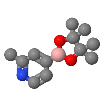 2-甲基吡啶-4-硼酸頻哪酯,2-METHYLPYRIDINE-4-BORONIC ACID PINACOL ESTER