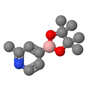 2-甲基吡啶-4-硼酸频哪酯；660867-80-1