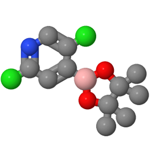 2,5-二氯吡啶-4-硼酸频哪酯；1073353-98-6