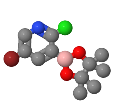 5-溴-2-氯吡啶-3-硼酸頻哪醇酯,5-BROMO-2-CHLORO-3-(4,4,5,5-TETRAMETHYL-[1,3,2]-DIOXABOROLAN-2-YL)PYRIDINE