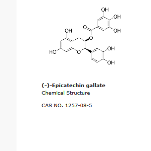 (-)-Epicatechin gallate