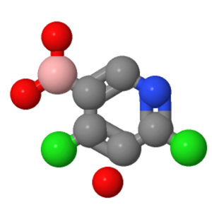 2,4-二氯吡啶-5-硼酸水合物；1072952-26-1
