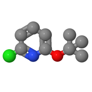 2-叔丁氧基-6-氯吡啶；547740-43-2