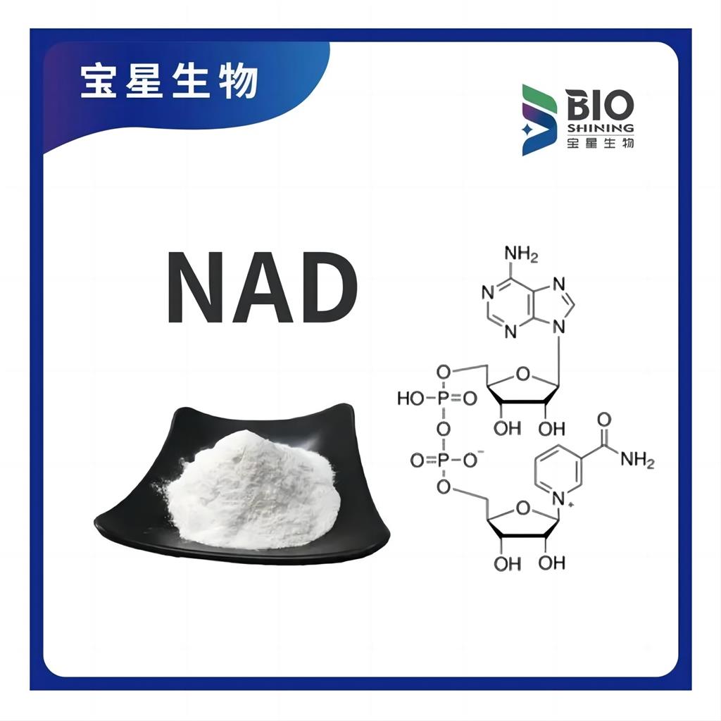 β-烟酰胺腺嘌呤二核苷酸,NAD
