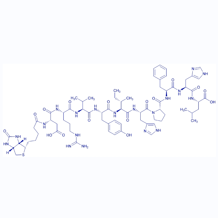 生物素-血管紧张素I,Biotinyl-Angiotensin I