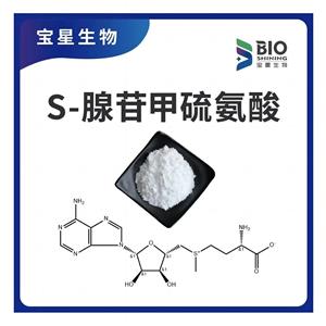 S-腺苷甲硫氨酸 99%白色精细粉末 SAM 97540-22-2宝星生物