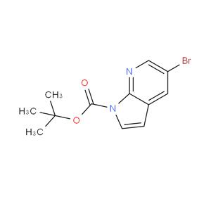 5-溴-1H-吡咯并[2,3-B]吡啶-1-羧酸叔丁酯