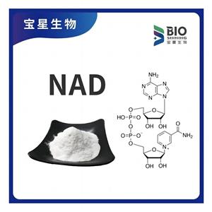 β-烟酰胺腺嘌呤二核苷酸 99% 白色精细粉末 NAD+ 辅酶I 53-84-9