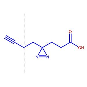 3-(3-(丁基-3-炔-1-基)-3H-双吖丙啶-3-基]丙酸,3-(3-(But-3-yn-1-yl)-3H-diazirin-3-yl)propanoicacid