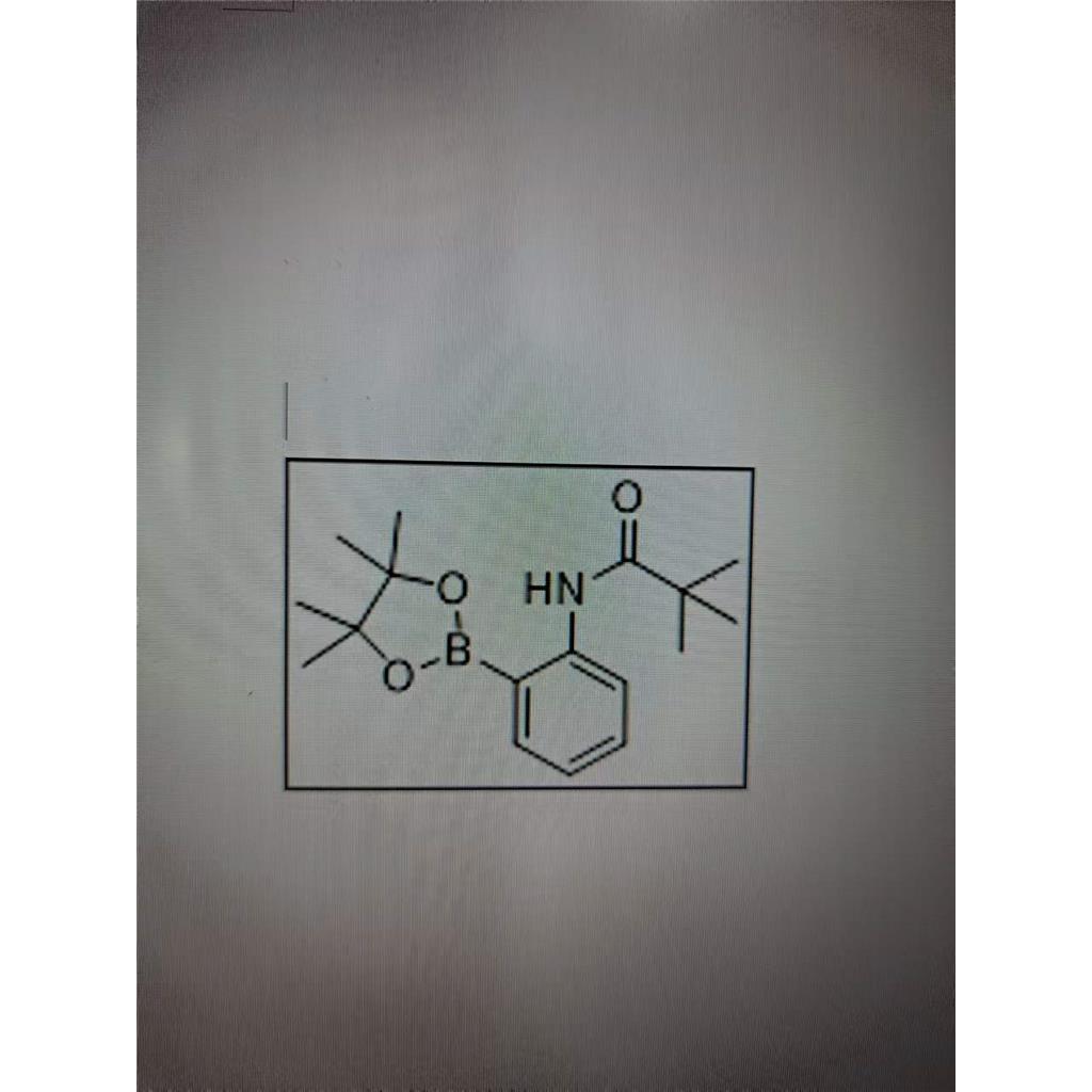 N-[2-(4,4,5,5-四甲基-1,3,2-二氧硼杂环戊烷-2-基)苯基]三甲基乙酰胺,2-(TERT-BUTYLCARBONYLAMINO)PHENYLBORONIC ACID, PINACOL ESTER