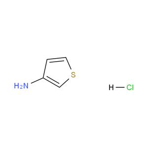 3-氨基噻吩 盐酸盐