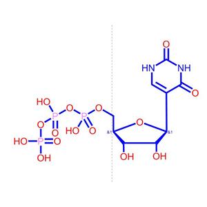 假尿苷三磷酸钠盐1175-34-4
