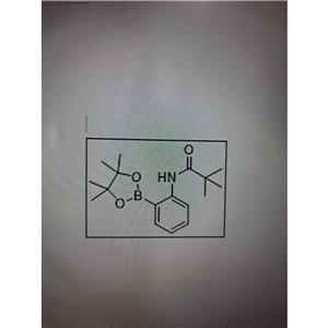 N-[2-(4,4,5,5-四甲基-1,3,2-二氧硼杂环戊烷-2-基)苯基]三甲基乙酰胺