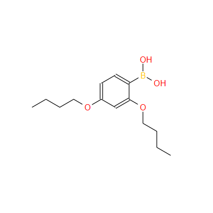 2,4-二丁氧基苯基硼酸,2,4-DIBUTOXYPHENYLBORONIC ACID