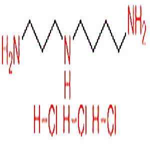 亞精胺鹽酸鹽,Spermidine trihydrochloride