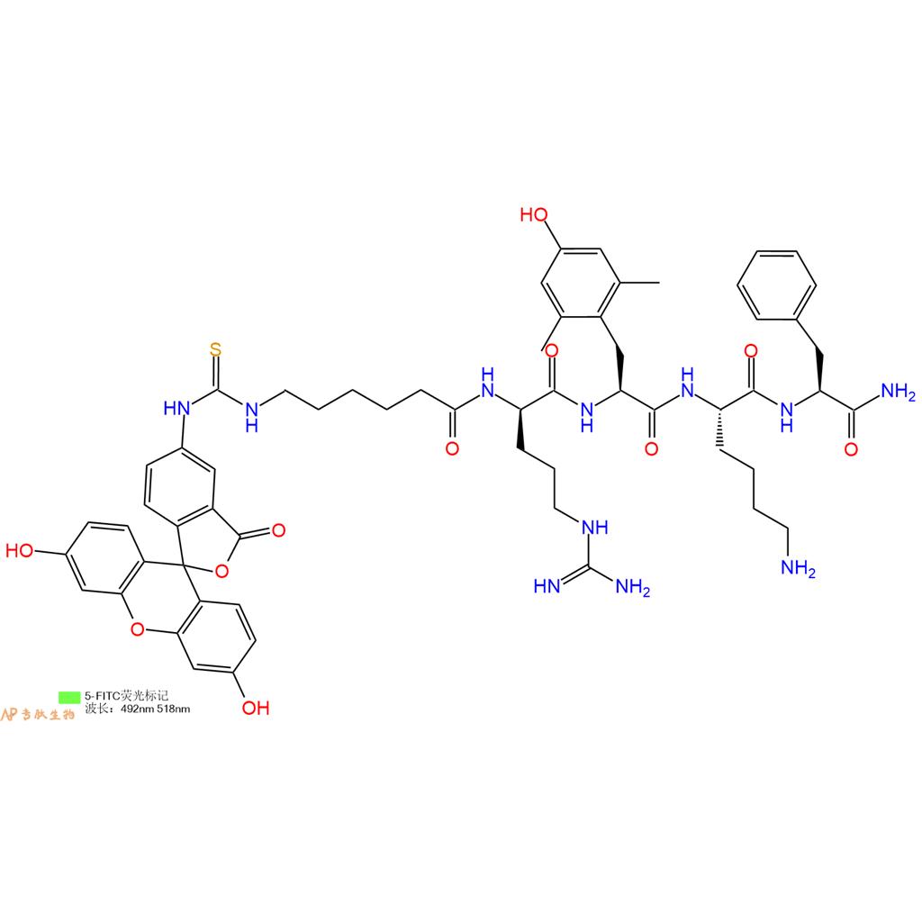 熒光標記線粒體靶向抗氧化劑SS-31,FITC-SS-31、FITC-Ahx-D-Arg-Dmt-Lys-Phe-NH2