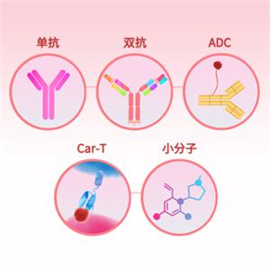 表面等离子共振,SPR