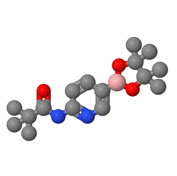 6-新戊酰氨基吡啶-3-硼酸频哪醇酯,6-pivalamidopyridine-3-boronic acid pinacol ester