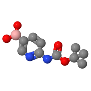 6-BOC-氨基吡啶硼酸；883231-20-7