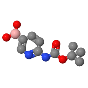 6-BOC-氨基吡啶硼酸,2-BOC-AMINO PYRIDINE-5-BORONIC ACID