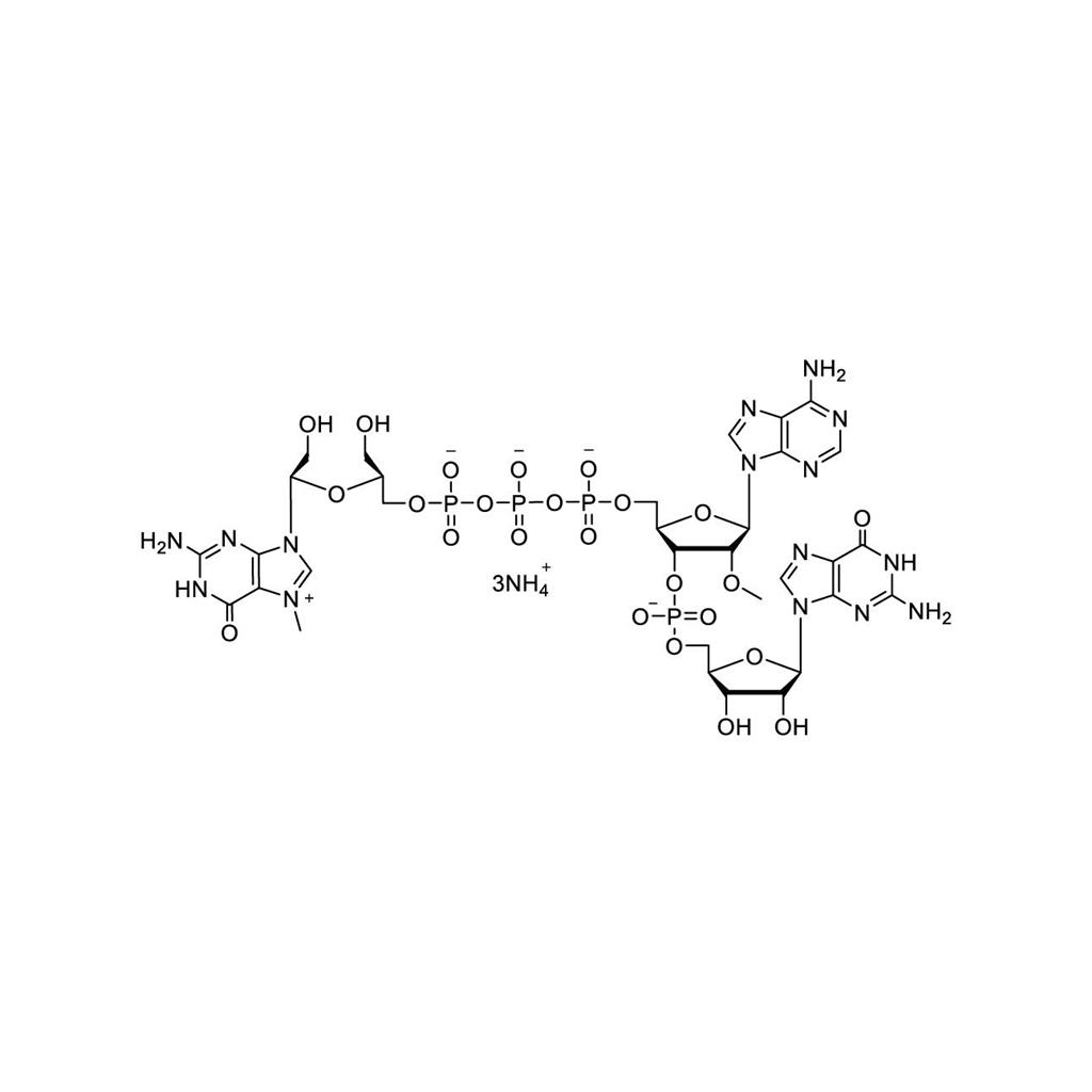 CAP 4m7G(UNA)(5')ppp(5')(2'OMeA)pG 100mM Ammonium Solution