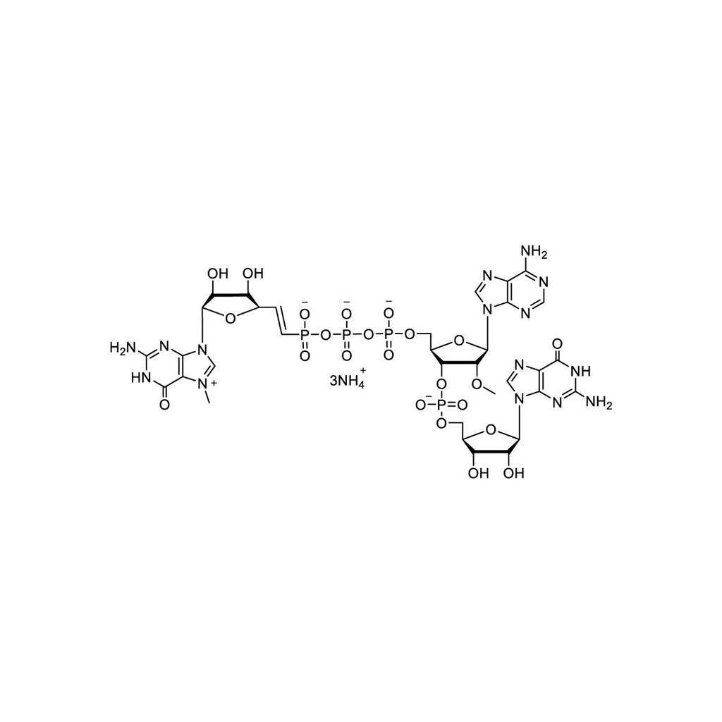 CAP 5m7G(5')vppp(5')(2'OMeA)pG 100mM Ammonium Solution