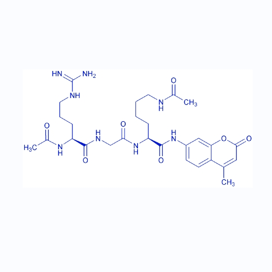 HDAC底物Ac-RGK(Ac)-AMC,Ac-Arg-Gly-Lys(Ac)-AMC