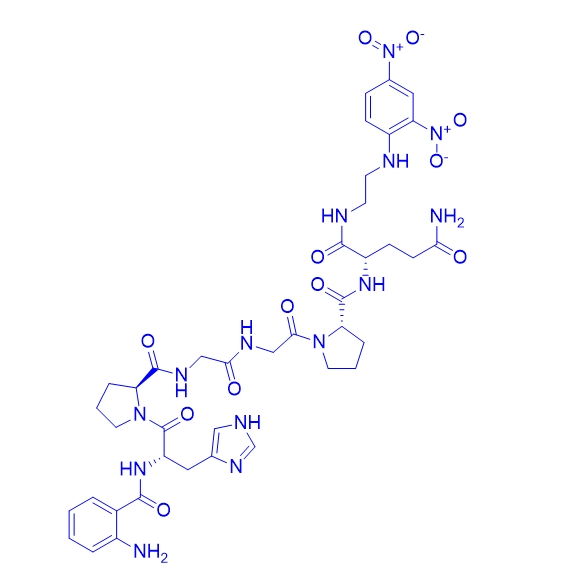 组织蛋白酶 K多肽；Cathepsin K substrate,Abz-HPGGPQ-EDDnp