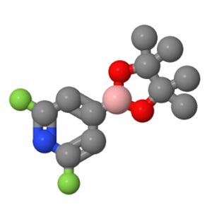 2,6-二氟吡啶-4-硼酸频哪醇酯；1204333-58-3
