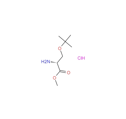 O-叔丁基-D-丝氨酸甲酯盐酸盐,O-t-Butyl-D-serine Methyl ester hydrochloride