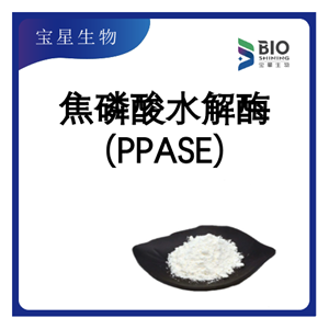 焦磷酸水解酶 99% 白色精细粉末 PPASE 宝星生物