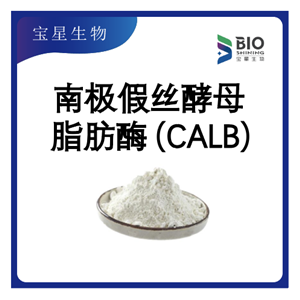 南极假丝酵母脂肪酶B,CALB