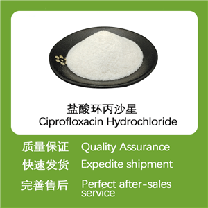 盐酸环丙沙星,Ciprofloxacin Hydrochloride