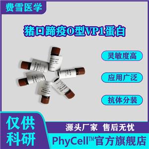 供應(yīng)豬口蹄疫O型VP1蛋白