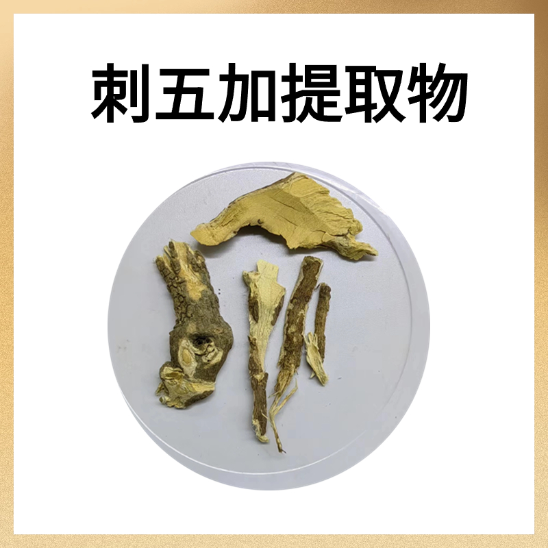 刺五加提取物,Siberian Ginseng Extract Powder