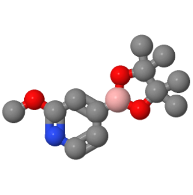 2-甲氧基吡啶-4-戊酰硼酸,2-METHOXYLYPYRIDINE-4-BORONIC ACID PINACOLATE