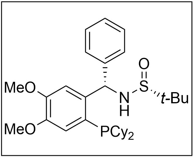 [S(R)]-N-[(S)-[2-(二環(huán)己基膦)-4,5-二甲氧基苯基](4-苯基)甲基]-2-叔丁基亞磺酰胺,[S(R)]-N-[(S)-[2-(Dicyclohexylphosphino)-4,5-dimethoxyphenyl)](4-phenyl)methyl]-2-methyl-2-propanesulfinamide