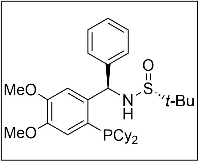 [S(R)]-N-[(R)-[2-(二環(huán)己基膦)-4,5-二甲氧基苯基](4-苯基)甲基]-2-叔丁基亞磺酰胺,[S(R)]-N-[(R)-[2-(Dicyclohexylphosphino)-4,5-dimethoxyphenyl)](4-phenyl)methyl]-2-methyl-2-propanesulfinamide