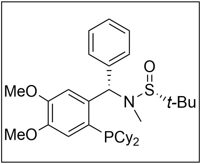 [S(R)]-N-[(S)-[2-(二环己基膦)-4,5-二甲氧基苯基](4-苯基)甲基]-N,2-叔丁基亚磺酰胺,[S(R)]-N-[(S)-[2-(Dicyclohexylphosphino)-4,5-dimethoxyphenyl)](4-phenyl)methyl]-N,2-methyl-2-propanesulfinamide