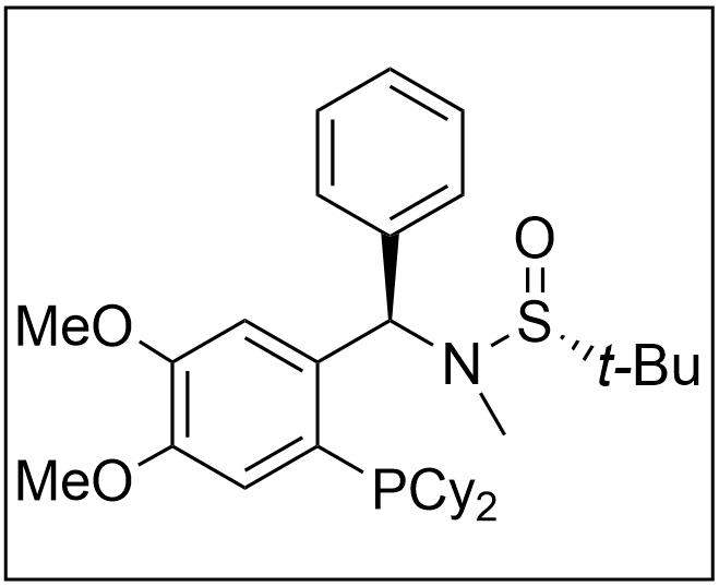 [S(R)]-N-[(R)-[2-(二环己基膦)-4,5-二甲氧基苯基](4-苯基)甲基]-N-甲基-2-叔丁基亚磺酰胺,[S(R)]-N-[(R)-[2-(Dicyclohexylphosphino)-4,5-dimethoxyphenyl)](4-phenyl)methyl]-N,2-dimethyl-2-propanesulfinamide