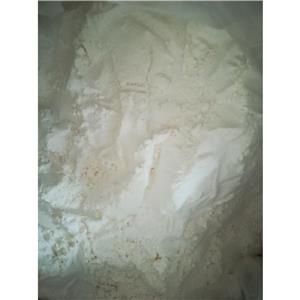 2133-33-7  L-2-哌啶甲酸盐酸盐