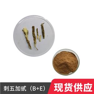 刺五加提取物,Siberian Ginseng Extract Powder