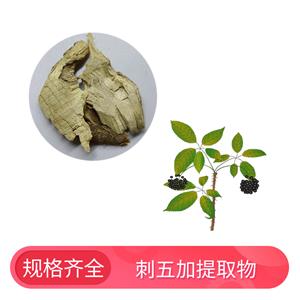 刺五加提取物,Siberian Ginseng Extract Powder