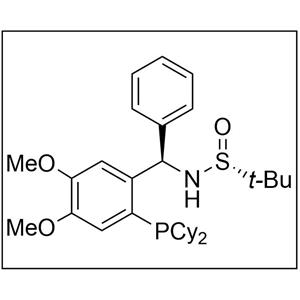 [S(R)]-N-[(R)-[2-(二环己基膦)-4,5-二甲氧基苯基](4-苯基)甲基]-2-叔丁基亚磺酰胺