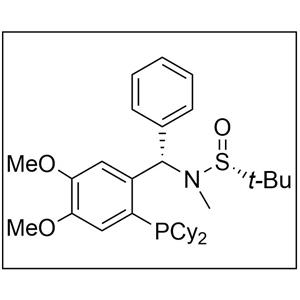 [S(R)]-N-[(S)-[2-(二环己基膦)-4,5-二甲氧基苯基](4-苯基)甲基]-N,2-叔丁基亚磺酰胺,[S(R)]-N-[(S)-[2-(Dicyclohexylphosphino)-4,5-dimethoxyphenyl)](4-phenyl)methyl]-N,2-methyl-2-propanesulfinamide
