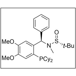 [S(R)]-N-[(R)-[2-(二环己基膦)-4,5-二甲氧基苯基](4-苯基)甲基]-N-甲基-2-叔丁基亚磺酰胺,[S(R)]-N-[(R)-[2-(Dicyclohexylphosphino)-4,5-dimethoxyphenyl)](4-phenyl)methyl]-N,2-dimethyl-2-propanesulfinamide
