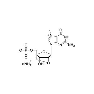 2'-O-4'-C-Locked-m7GMP 100mM Ammonium Solution