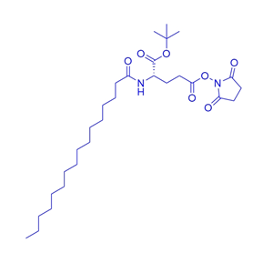 N-棕榈酰-L-谷氨酸1-叔丁基5-(N-琥珀酰亚胺)酯/204521-63-1/1-tert-Butyl 5-(N-Succinimidyl) N-Palmitoyl-L-glutamate