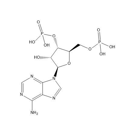 布克拉地新雜質(zhì)5,Bucladesine Impurity 5