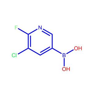 5-氯-6-氟吡啶-3-硼酸1366482-32-7